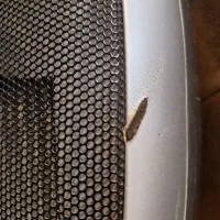 بخاری هیتر فن دار رو میزی|بخاری، هیتر، شومینه|شاهینشهر, حافظ جنوبی|دیوار