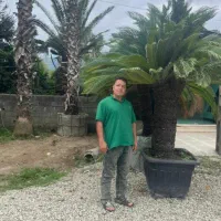 باغبانی مهندس قربانی