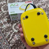 لوازم اکواریوم|ماهی|ارومیه, |دیوار