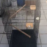 فروش سه عدد قفس برای پرنده و طوطی سانان