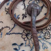 شلاق اسب سواری|اسب و تجهیزات اسب‌سواری|شیراز, شهرک قمشه|دیوار