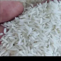 برنج درجه یک هاشمی خالص یک دست بدونه شکسته|خوردنی و آشامیدنی|پارسآباد, |دیوار