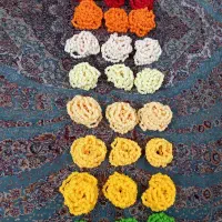 یراق چوری پرنده|پرنده|مشهد, رسالت|دیوار