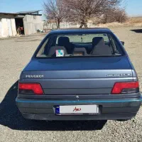 پژو۴۰۵ دوگانه