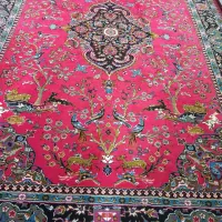 فرش ۶ متری|فرش|نورآباد, |دیوار