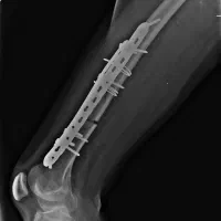 رادیولوژی در منزل|خدمات آرایشگری و زیبایی|قم, سالاریه|دیوار