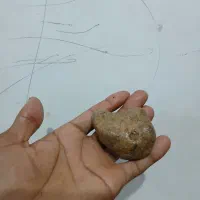 شهاب سنگ|کلکسیون اشیاء عتیقه|میناب, |دیوار