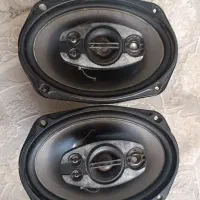 باند پایونر امپ خور 6993