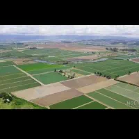 زمین قرارداد نظام مهندسی