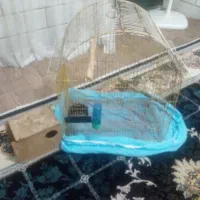 قفس پرنده