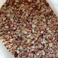 چهارتن لوبیا اش لپه به شرط|خوردنی و آشامیدنی|شیراز, کاراندیش|دیوار