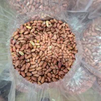 استخدام نیروی خانم و آقا در کارگاه آجیل پزی