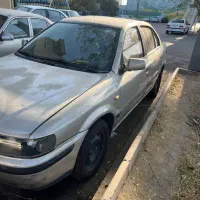 سمند نقره ای