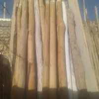 اسقف در اومده خریدچوب سقفی یاهمون دام تیری|خدمات باغبانی و درختکاری|ایجرود, |دیوار