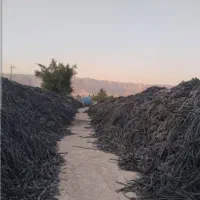 مرکز خرید نوار تیپ