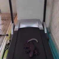 تردمیل تایوانی|تجهیزات ورزشی|تهران, شهرک دریا|دیوار