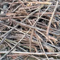 ضایعات چوب|خدمات پیشه و مهارت|رودبنه, |دیوار