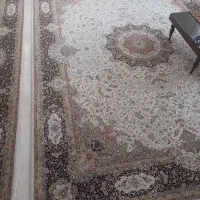 فرش ۱۲ متری پاتریس|فرش|رودهن, |دیوار