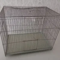 قفس پرنده