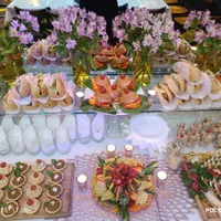 سالن تولد VIP قلعه