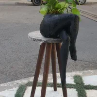 گلدان پا فانتری|گل و گیاه طبیعی|قم, انسجام|دیوار