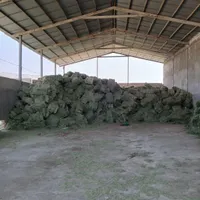 یونجه. کاه و کمل گندم