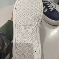 کفش|کیف، کفش، کمربند|تربت‌حیدریه, مظفریه|دیوار