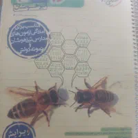 کتابهای کمک درسی نهم|کتاب و مجله آموزشی|شیراز, حافظیه|دیوار