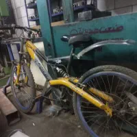 دوچرخه مدل پاندا