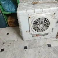 کولرابی درحدنوسالم