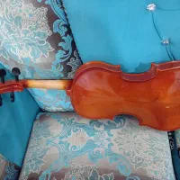 ویولن T.F|ویولن|کازرون, |دیوار