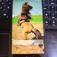 گوشی lg g4