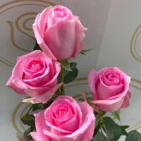 نیروی کار