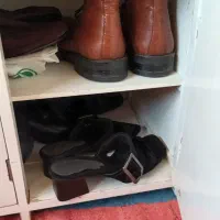 جاکفشی کم جا با سه در|جاکفشی، کمد، دراور|فردیس, شهرک ناز|دیوار