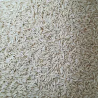 برنج خوش پخت علی کاظمی|خوردنی و آشامیدنی|بروجرد, |دیوار