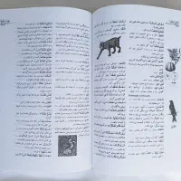 (کتاب دانشگاهی) فرهنگ لاروس، عربی-فارسی|کتاب و مجله آموزشی|تهران, منیریه|دیوار