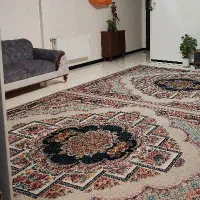 دوعدد فرش نه متری