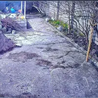 امنیت ونصب دوربین مداربسته|دوربین مداربسته|زنجان, |دیوار