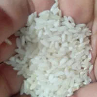 برنج چمپه دشمن زیاری باکیفیت