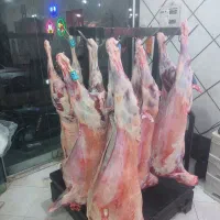 گوشت و مرغ|خوردنی و آشامیدنی|تهران, شهرک فرهنگیان|دیوار