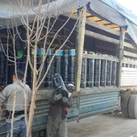 نصب و فروش ایزوگام باچک سه ماهه قیمت مناسب وعالی|مصالح و تجهیزات ساختمان|زنجان, |دیوار