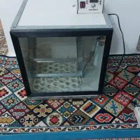 دستگاه جوجه کشی ۸۴ تایی|لوازم جانبی حیوانات|بندر انزلی, لیچارگی حسن رود|دیوار