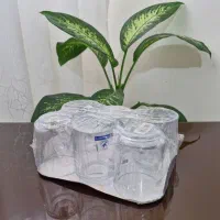 ظروف خاص|ظروف سرو و پذیرایی|کرج, برغان|دیوار