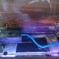 آکواریوم و تعدادی ماهی|ماهی|تهران, صادقیه|دیوار