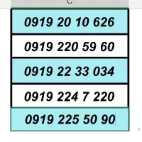 0919.50.60.876|سیم‌کارت|ری, صفاییه (چشمه علی)|دیوار