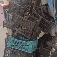 سبد