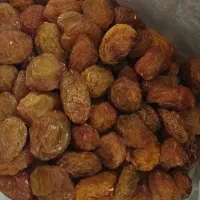 آلو خوانساری