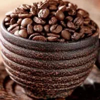 قهوه کف قیمت شیراز