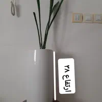 تعدادی گل و گلدان