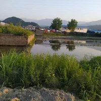 زمین به متراژ ۴۰۰۰ متر دو بر کاربری صنعتی|فروش زمین و ملک کلنگی|کتالم و سادات شهر, |دیوار